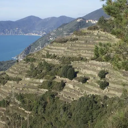 Tra Er Boscu Er Maa * فولاسترا