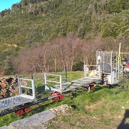 Tra Er Boscu Er Maa 佛拉斯特拉