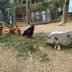 Сasa de vacaciones Tra Er Boscu Er Maa *
