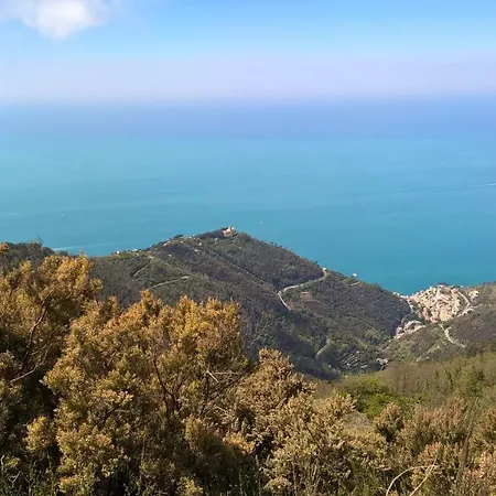 Tra Er Boscu Er Maa Tatil Evi *