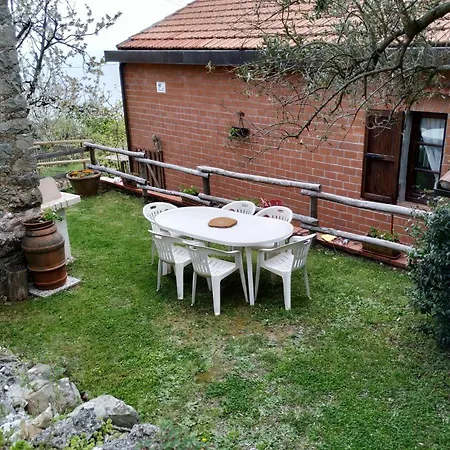 Tra Er Boscu Er Maa * Volastra