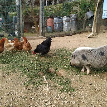 Hébergement de vacances Tra Er Boscu Er Maa *